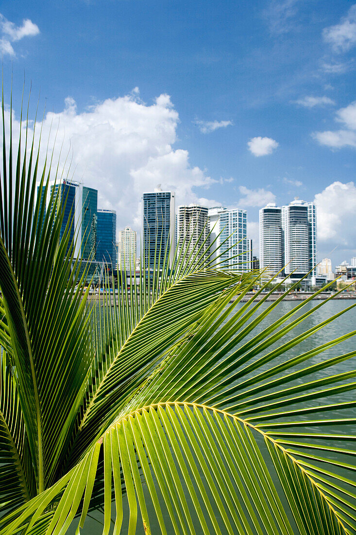 Waterfront skyline Avenida Balboa Panama city Panama