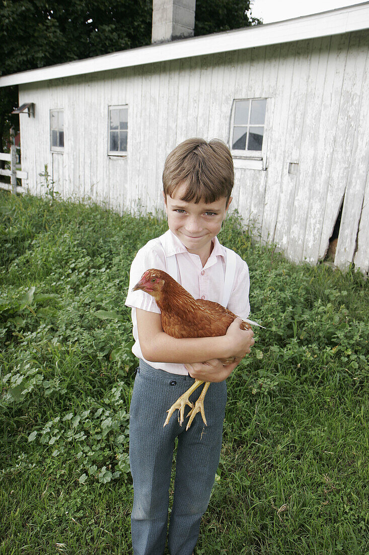 Amish Farm Tour, boy holds chicken. Shipshewana. Indiana. USA.
