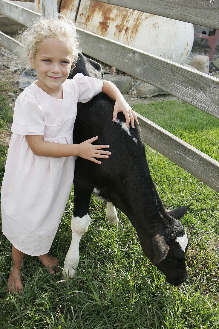Amish Farm Tour, girl, calf. Shipshewana. Indiana. USA.