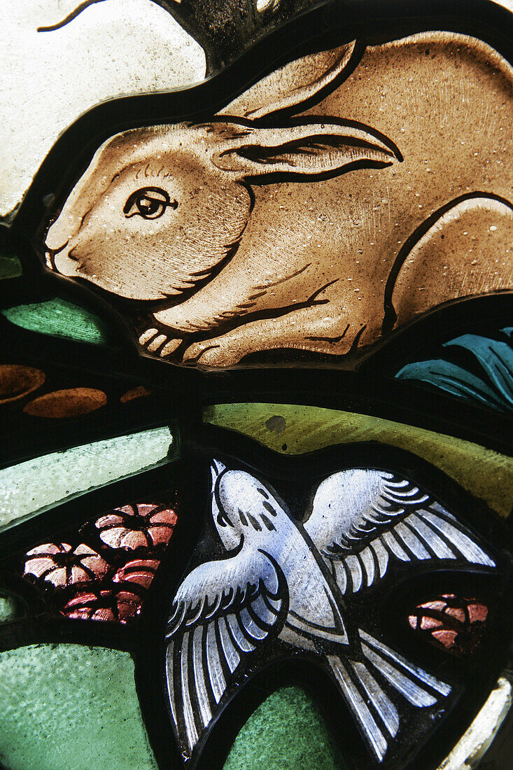 Canada, Montreal, Avenue Union, Christ Church Cathedrale, cathedral, stained glass window, rabbit, bird, religious art