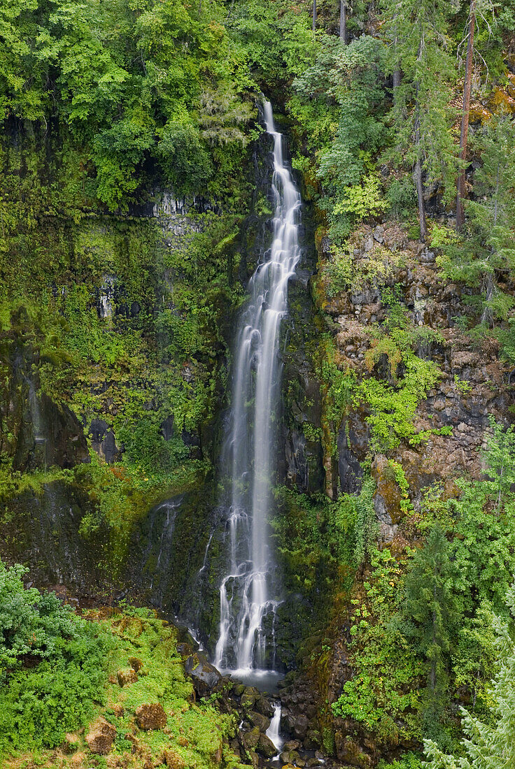 Barr Creek Falls, Rogue River National Forest, Oregon, USA