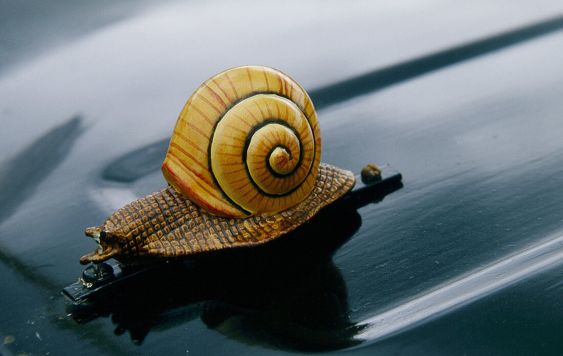 L'Escargot, Renault car bonnet decoration, Akaroa French Festival, Banks Peninsula, New Zealand