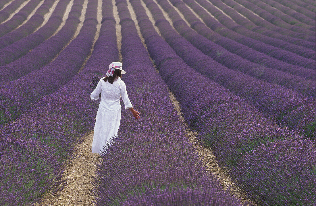 Girl in Lavender field, Plateau de Valensole, Provence, France
