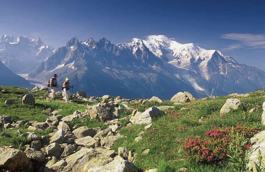 Hiker in front of Mont Blanc-Massif, 4807 m, Chamonix, Haute Savoie, Alps, France