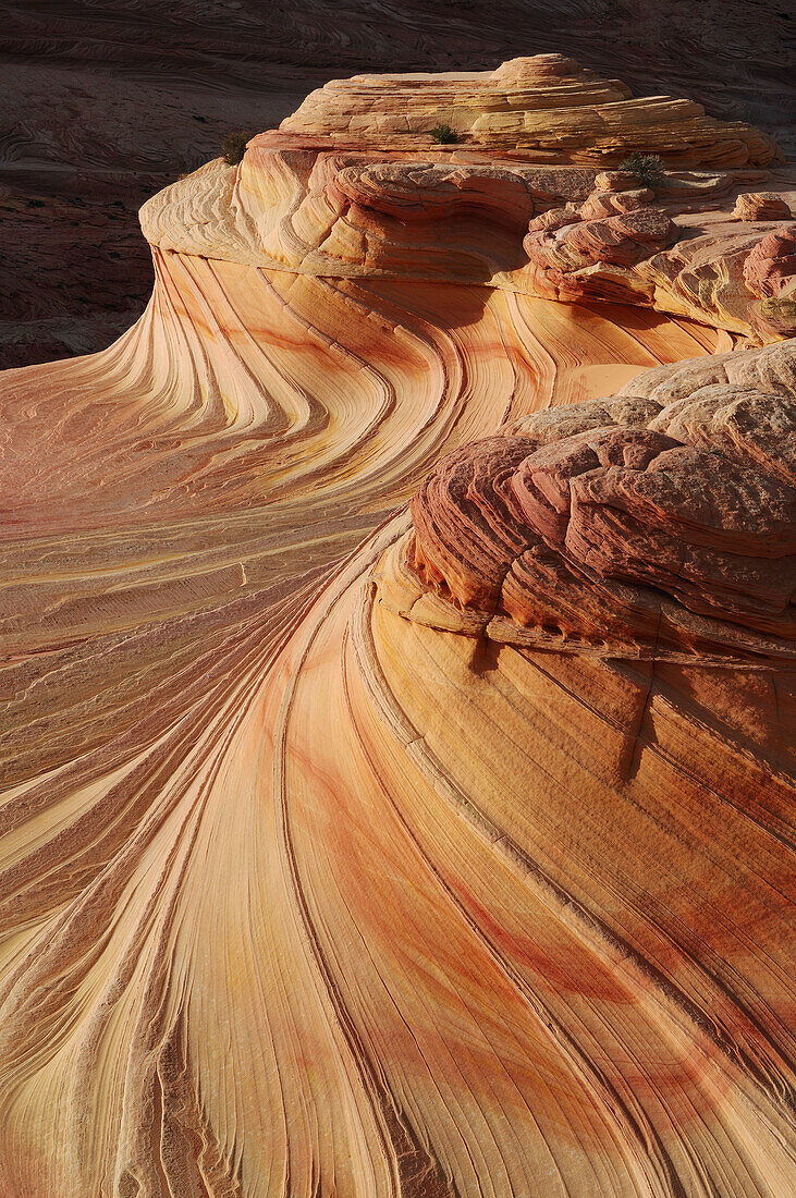 Sandstone Rock Formations at Paria Canyon-Vermilion Cliffs Wilderness  Coyote Buttes North, Paria Sandhills, Vermilion Cliffs, Colorado Plateau, Arizona, USA, America
