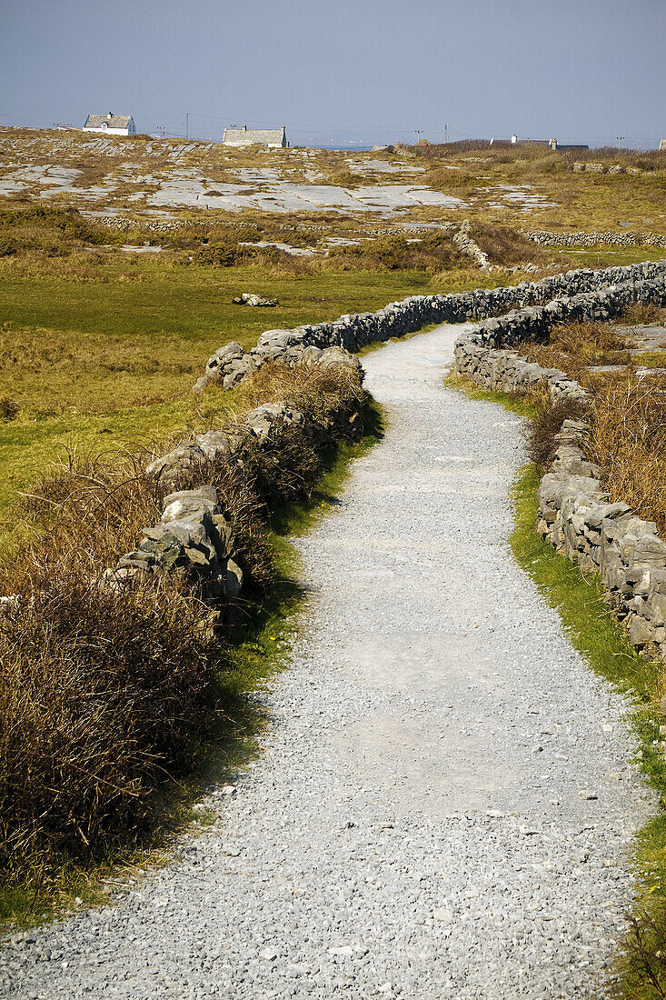 Inishmore, biggest of Aran Islands. Galway Co. Ireland