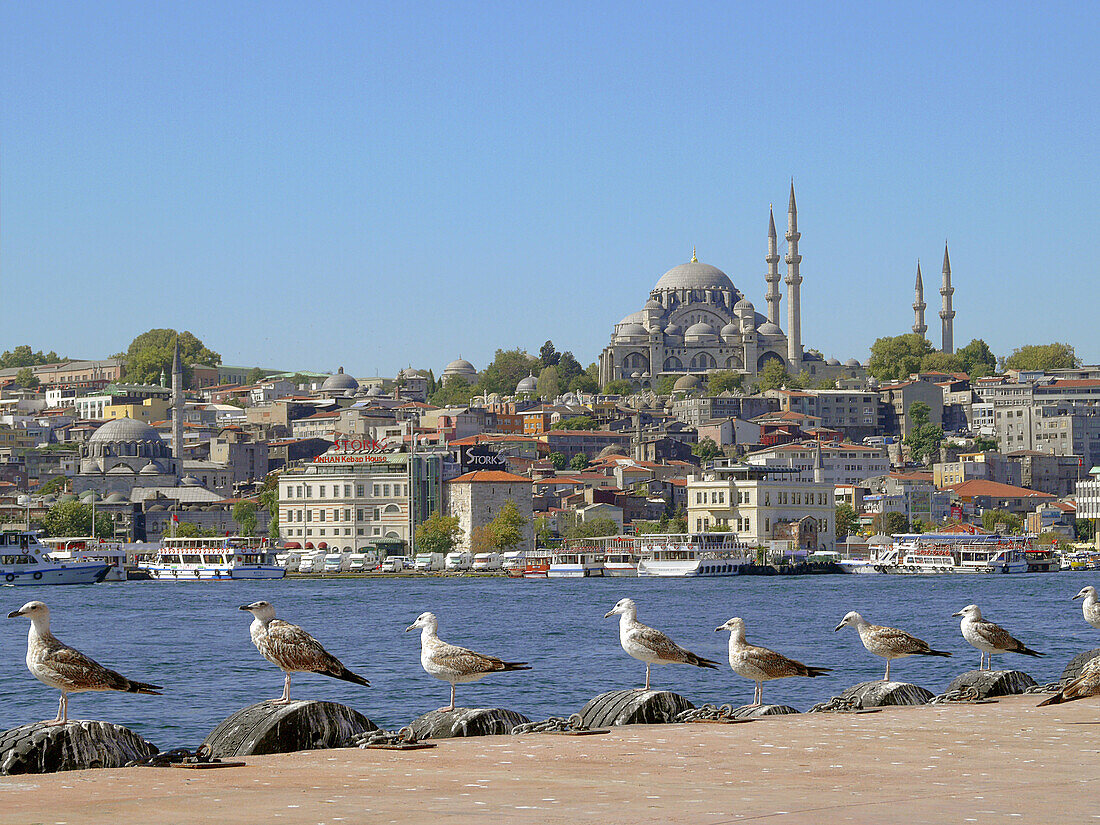 The Golden Horn Shores. Istanbul. Turkey