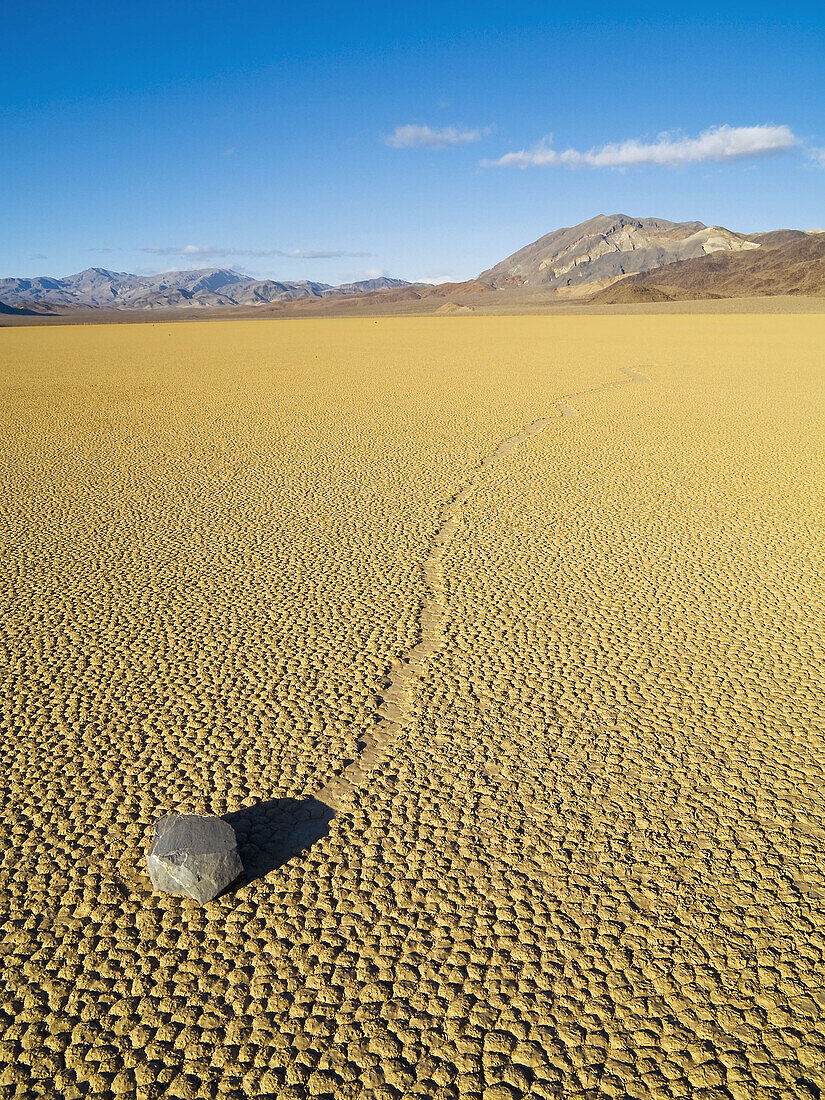 Rolling Rock. The Racetrack. Death Valley National Park. California / Nevada. Usa.