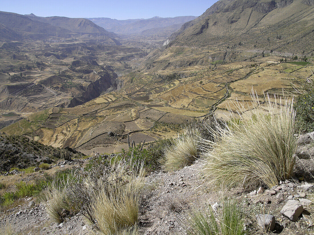 Landscape between Arequipa and Colca Canyon. Peru