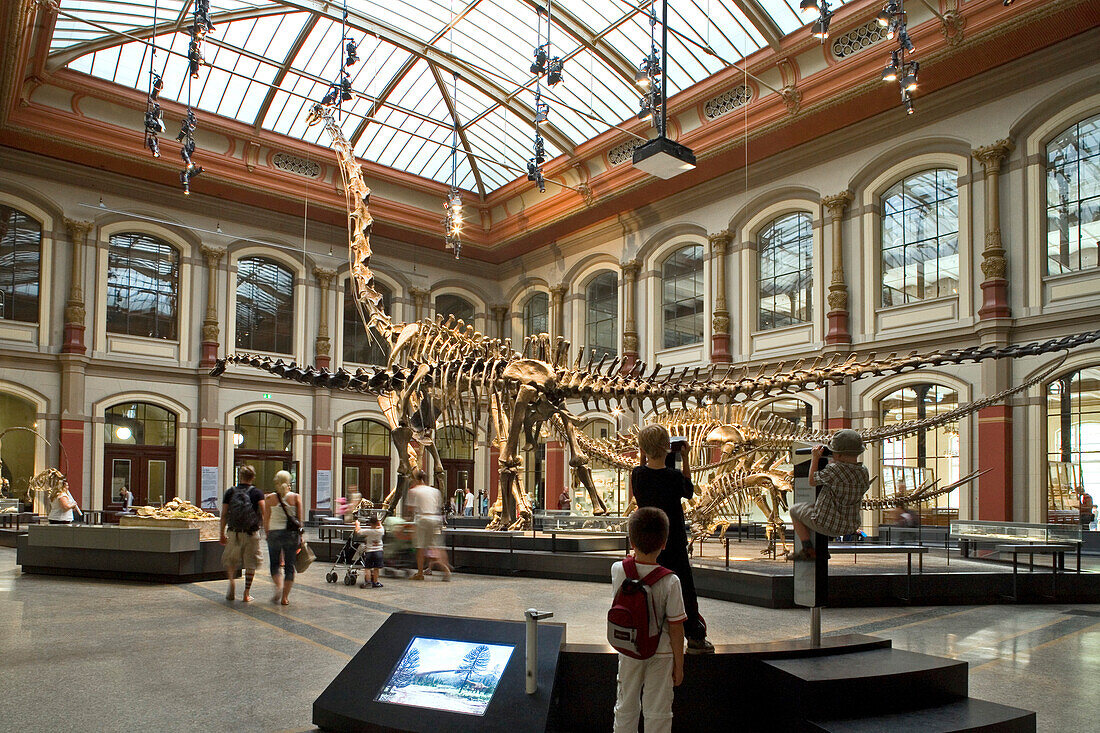 Dinosauriersaal im Lichthof des Museum für Naturkunde der Humboldt-Universität zu Berlin