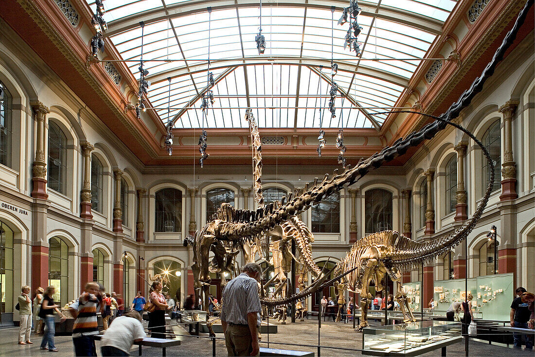Dinosauriersaal im Lichthof des Museum für Naturkunde der Humboldt-Universität zu Berlin