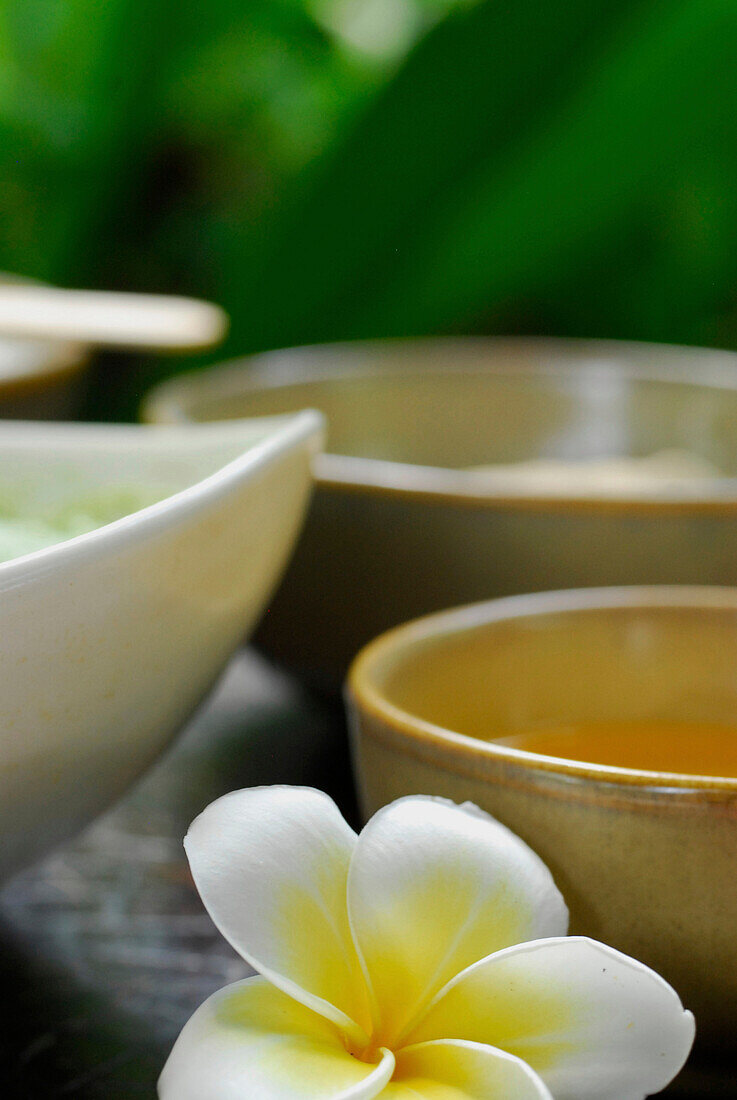 Detail of the spa at the Amankila Resort, Candi Dasa, Eastern Bali, Indonesia, Asia