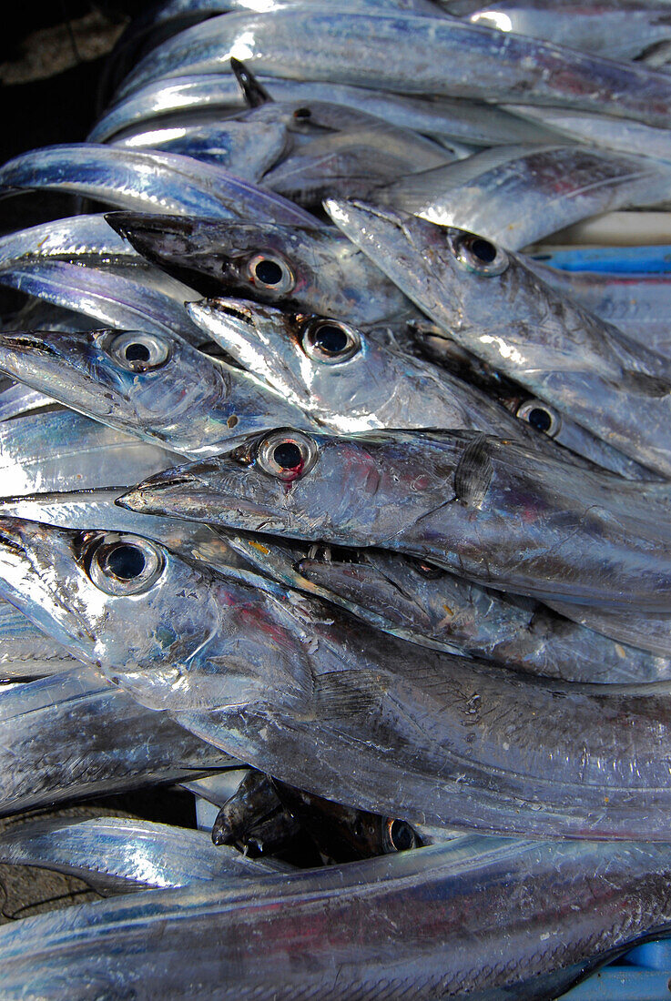 Nahaufnahme von Fischen auf dem Markt in Jimbaran, Bali, Indonesien, Asien