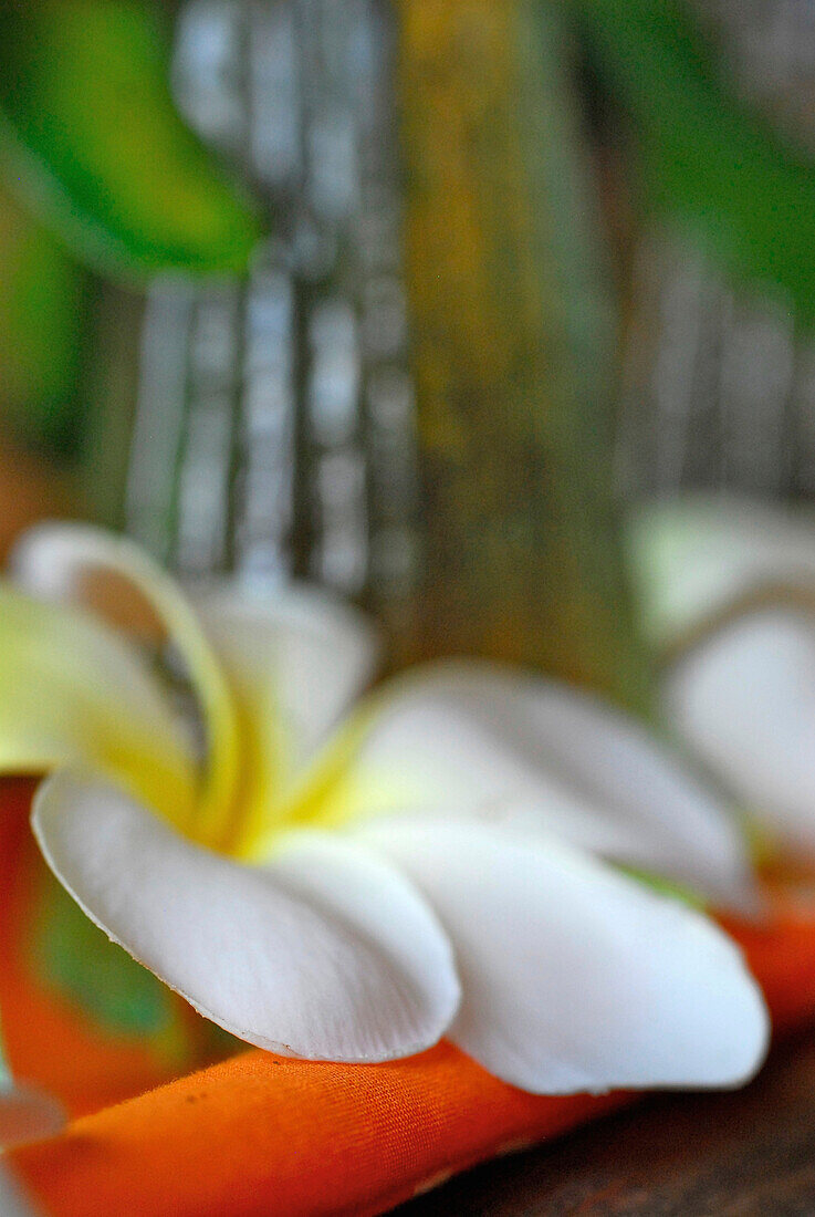 Detail des Tree Spa im Kupu Kupu Barong Resort, Ubud, Indonesien, Asien