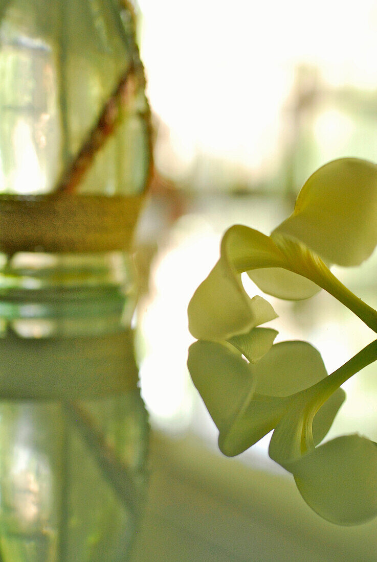 Detail des Tree Spa im Kupu Kupu Barong Resort, Ubud, Indonesien, Asien