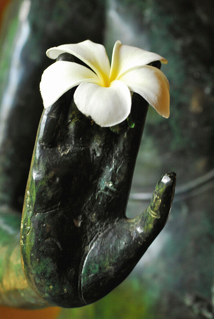 Blüte an der Hand einer Statue, Matahari Hotel, Pemuteran, Nordwest Bali, Indonesien, Asien