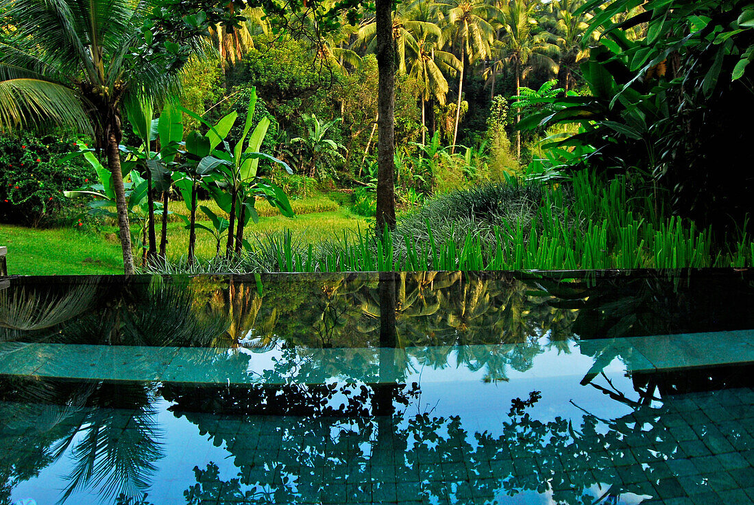 Pool an einem Bungalow des Hotel Four Seasons, Sayan, Ubud, Zentral Bali, Indonesien, Asien