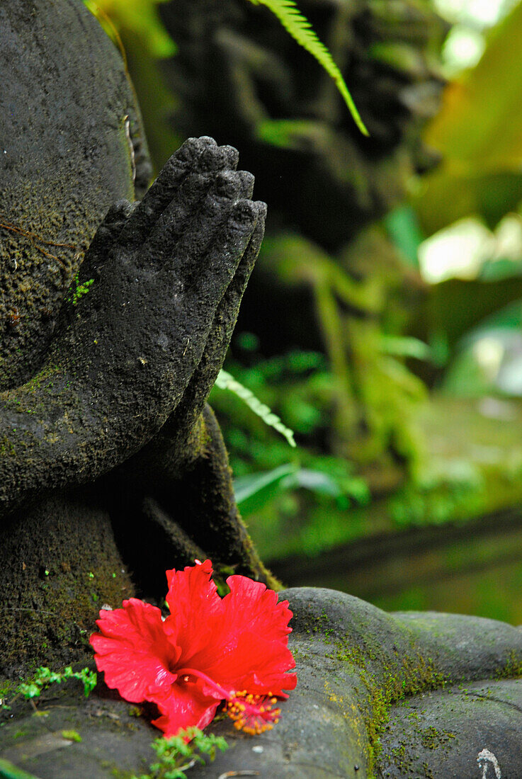 Detail einer Buddha Figur und rote Blüte, Ubud, Zentral Bali, Indonesien, Asien