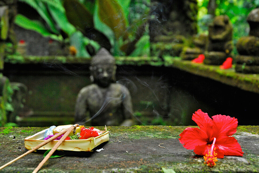 Rote Blüte und Räucherstäbchen vor Buddha Statue, Ubud, Zentral-Bali, Indonesien