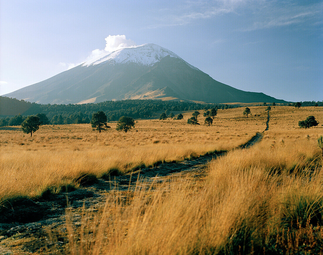 Blick auf den aktiven Vulkan Popocatepetl am Horizont, Izta Popo Zoquiapan Nationalpark, Provinz Mexiko, Mexiko, Amerika