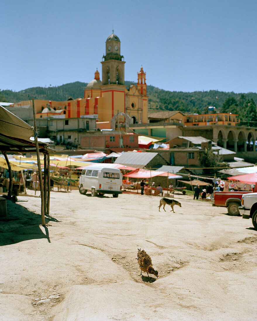 Market at the village Texocuixpan, Tlaxcala province, Mexico, America