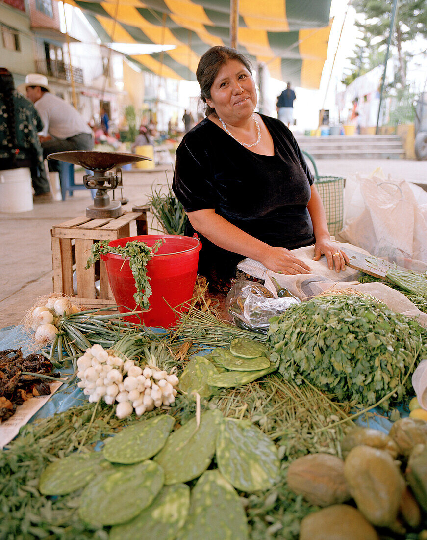 Indianerin an einem Marktstand mit Kaktusblättern und Gemüse im Dorf San Nicolas los Ranchos, Provinz Puebla, Mexiko, Amerika