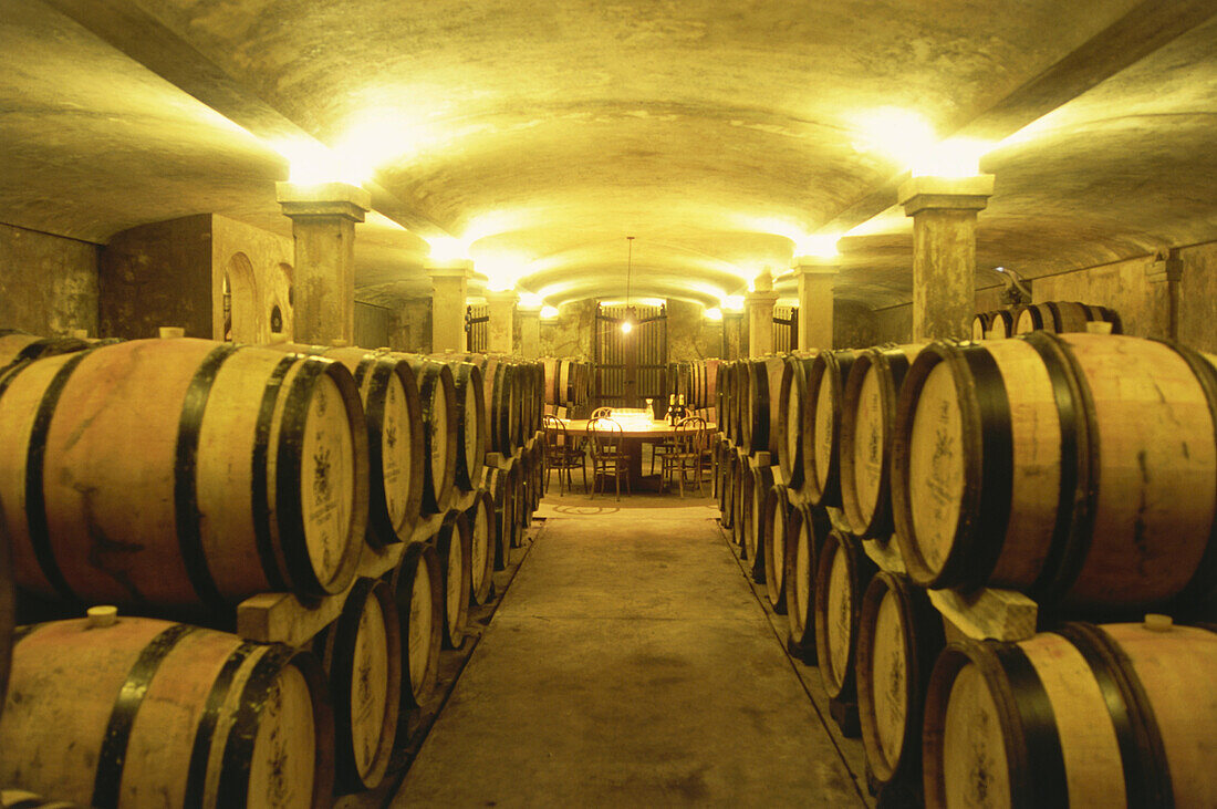 Barrique cellar, 2nd year, at Hamilton Russel Vineyards, Hermanus, Walker Bay, Western Cape, South Africa, Africa
