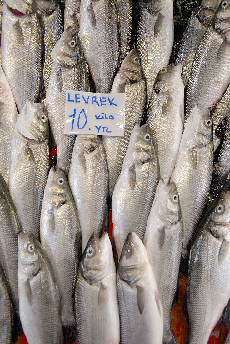 Fish for sale, Istanbul. Turkey