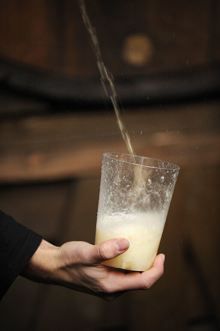 Glass of cider. Donostia, Euskadi, Spain.