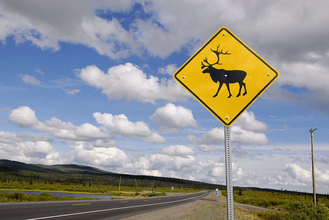 Caribou warning sign marker danger along Glenn Highway Alaska AK U S United States