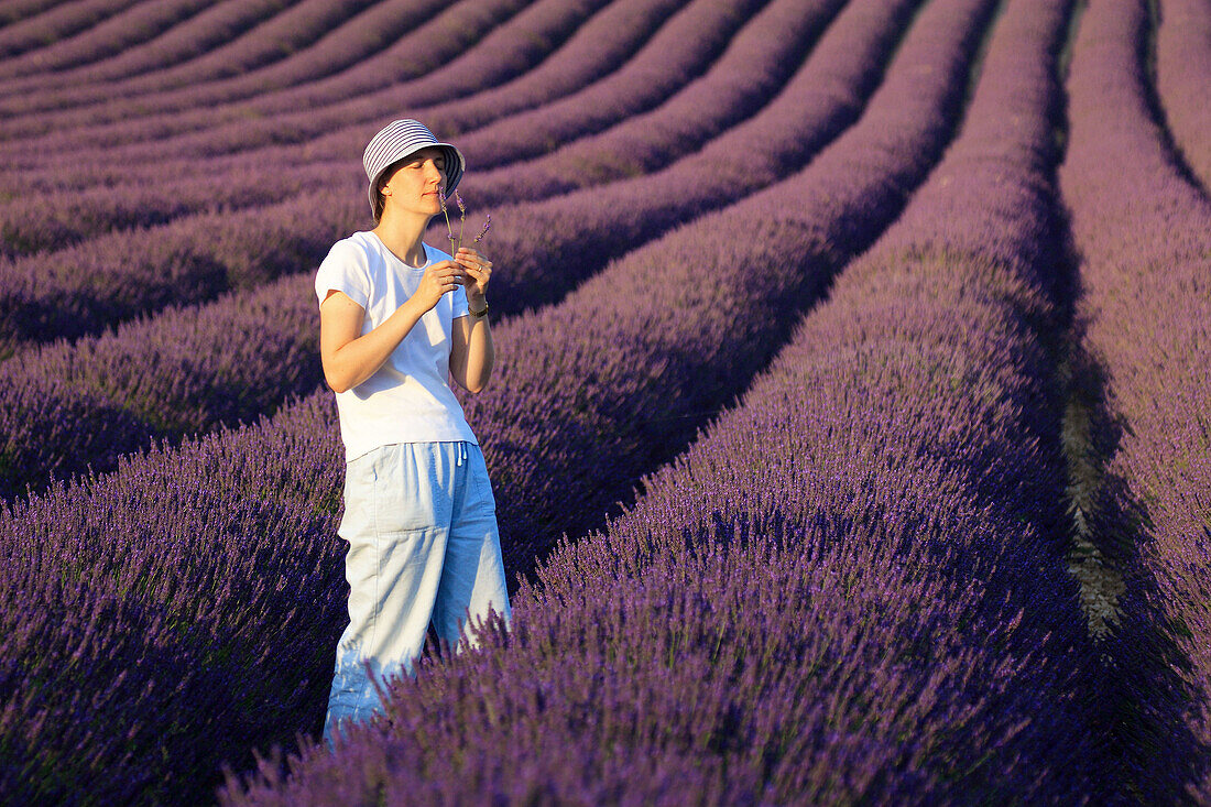 Lavender (Lavandula angustifolia), women standing in filed of Lavender, enjoying scent of Lavender, Vaucluse, Provence, France