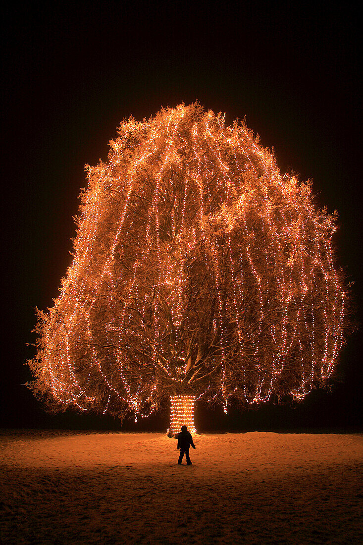 Little boy standing in front of big tree with christmas lights at night time, snow, Switzerland