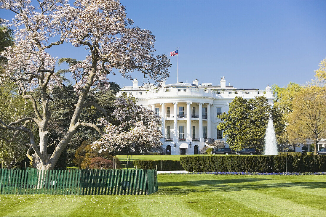 White House, Washington D.C. USA