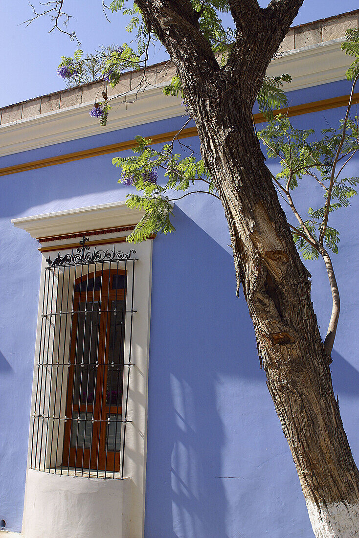 Architecture. Oaxaca. Mexico