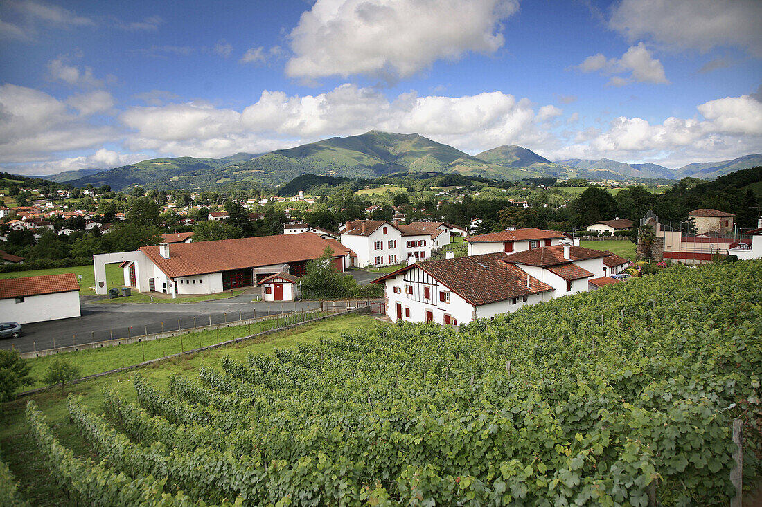 Vineyard of Izpura and Saint Jean Pied de Port, France