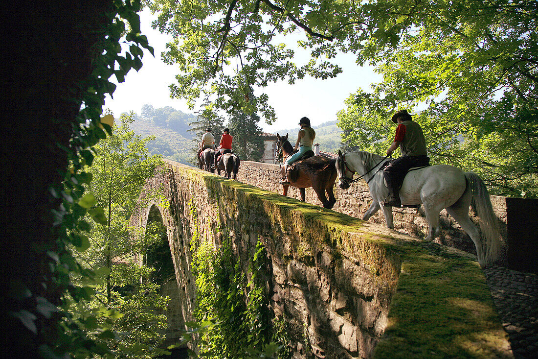 Horse riding. Parque Natural Señorío de Bértiz. Navarre. Spain