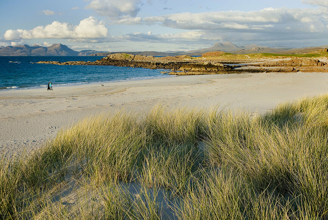 Dunes grass Gruinard Bay, Wester Ross Scotland