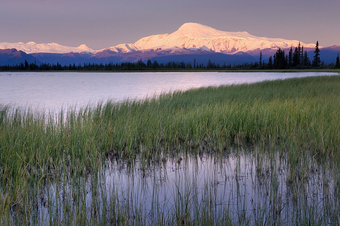 Mount Sanford 16, 237 ft (4, 949 m)  Wrangell-St. Elias National Park, Alaska, USA