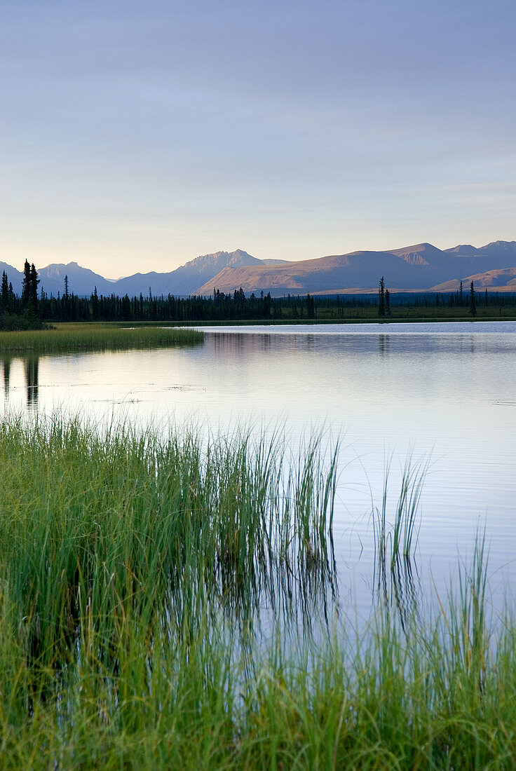 View of the Wrangell Mountains from the wetlands and tundra near Nebesna Road, Wrangell-St. Elias National Park, Alaska, USA