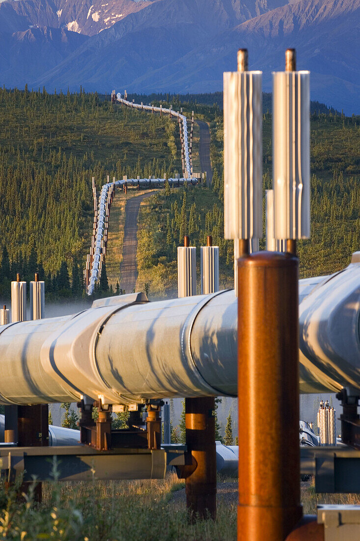 Alaska oil pipeline running through the central Alaska Range, USA