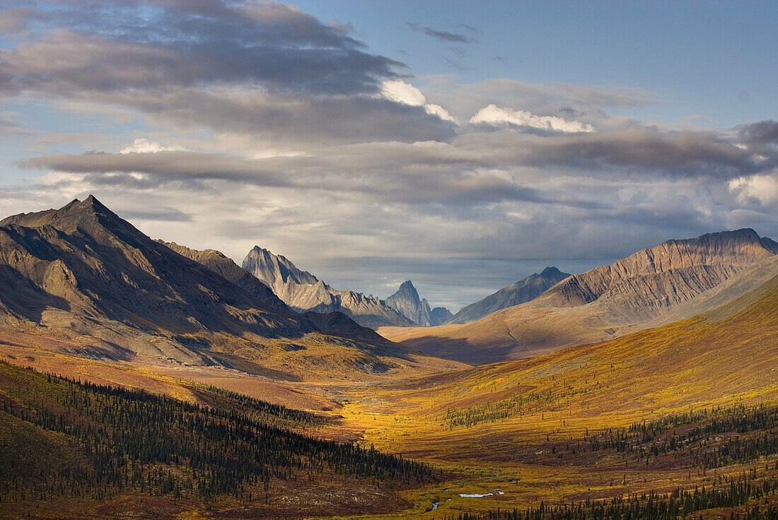 North klondike River Valley displaying vibrant colors of autumn foliage, Tombstone Territorial Park, Yukon, Canada