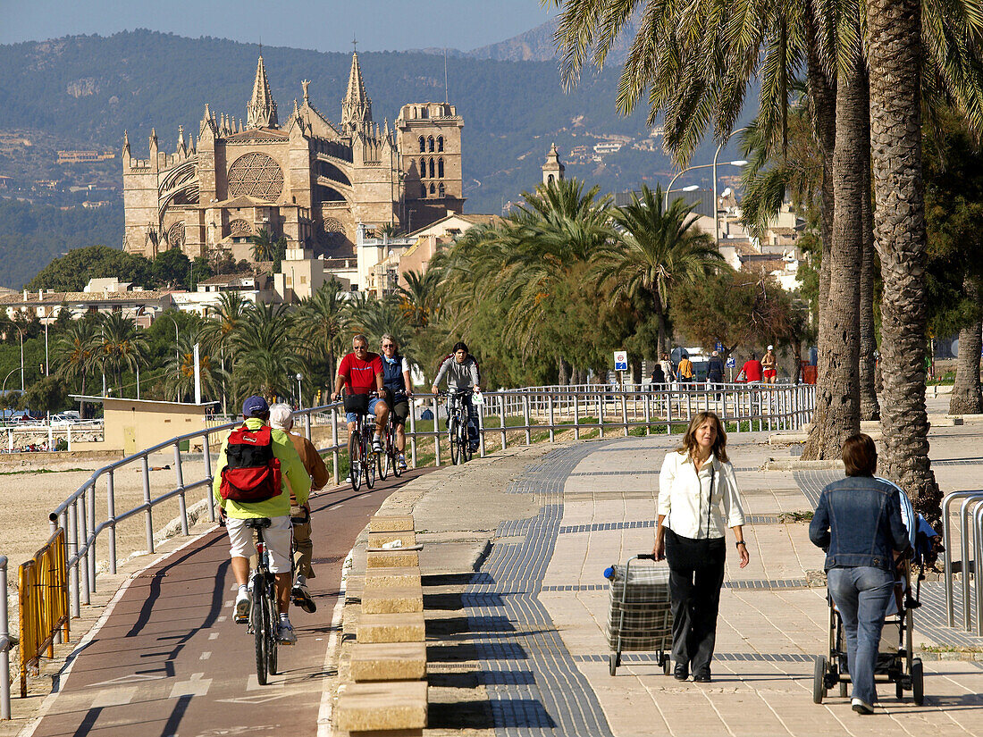 Cathedral from El Molinar, Palma de Mallorca. Majorca, Balearic Islands. Spain