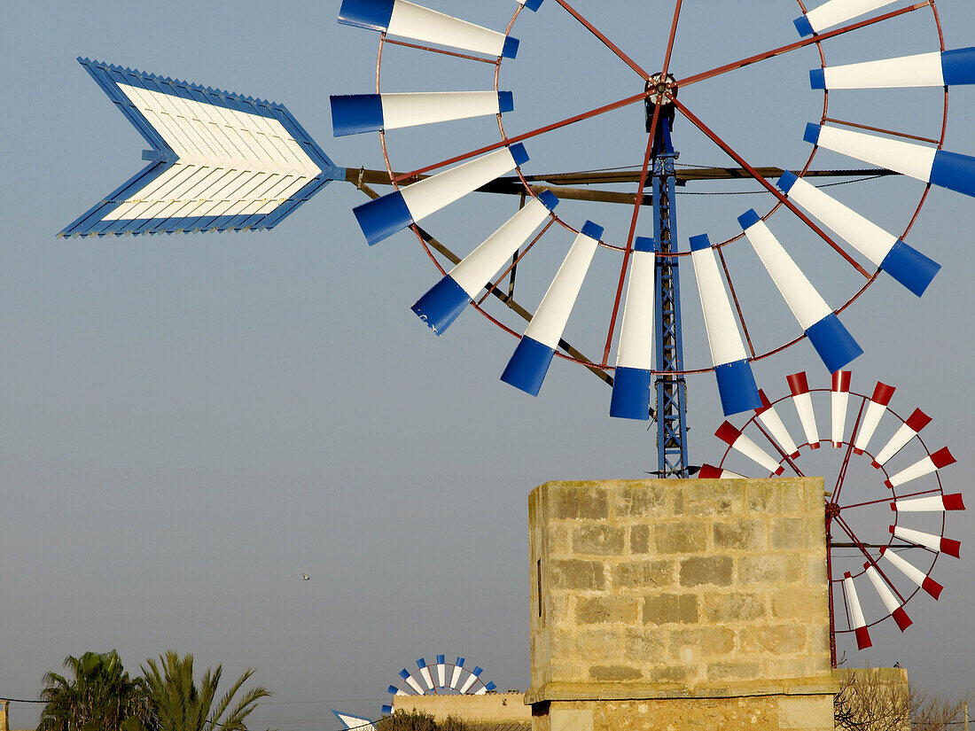 Windmühle. Campos. Mallorca. Balearische Inseln. Spanien