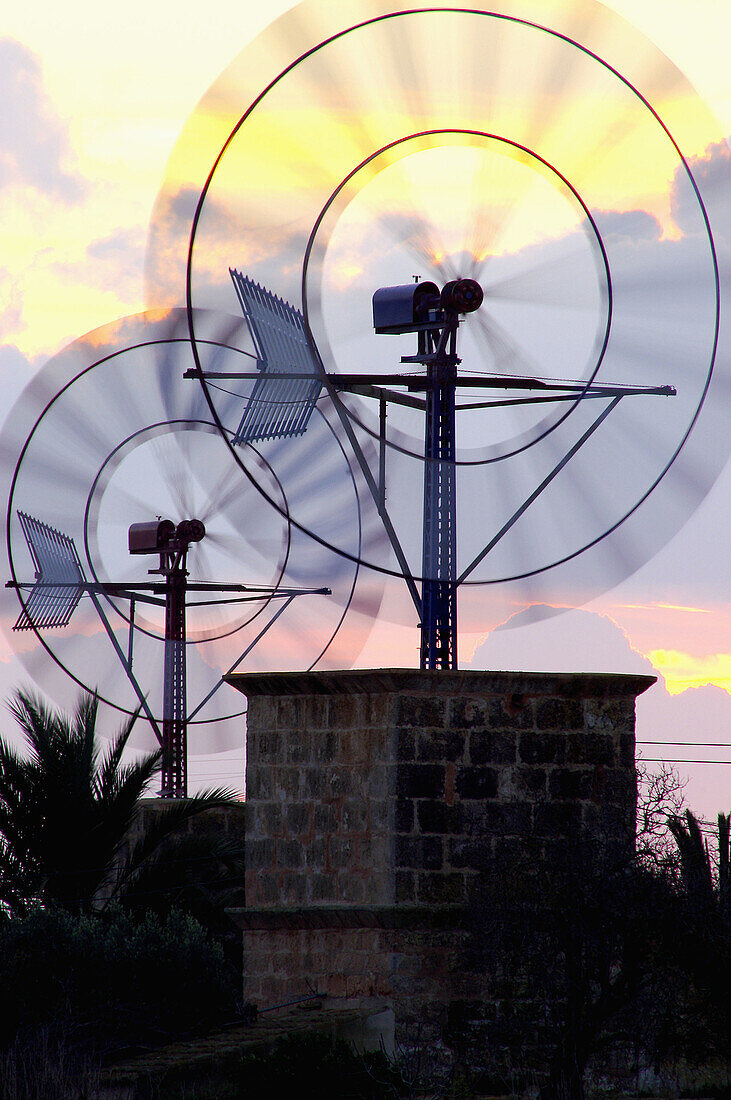 Windmühle. Campos. Mallorca. Balearische Inseln. Spanien