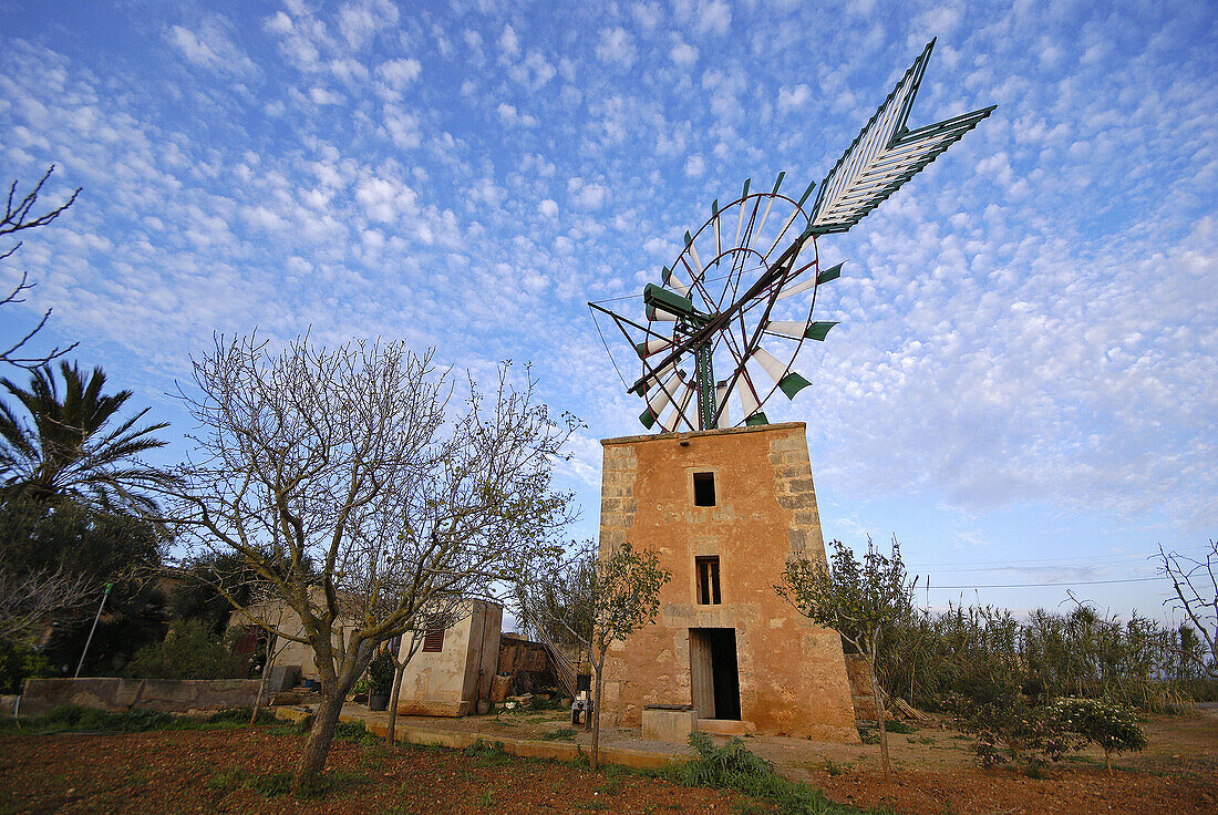 Windmühle 'Cami de Sa pedra rodona'. Mallorca. Balearische Inseln. Spanien