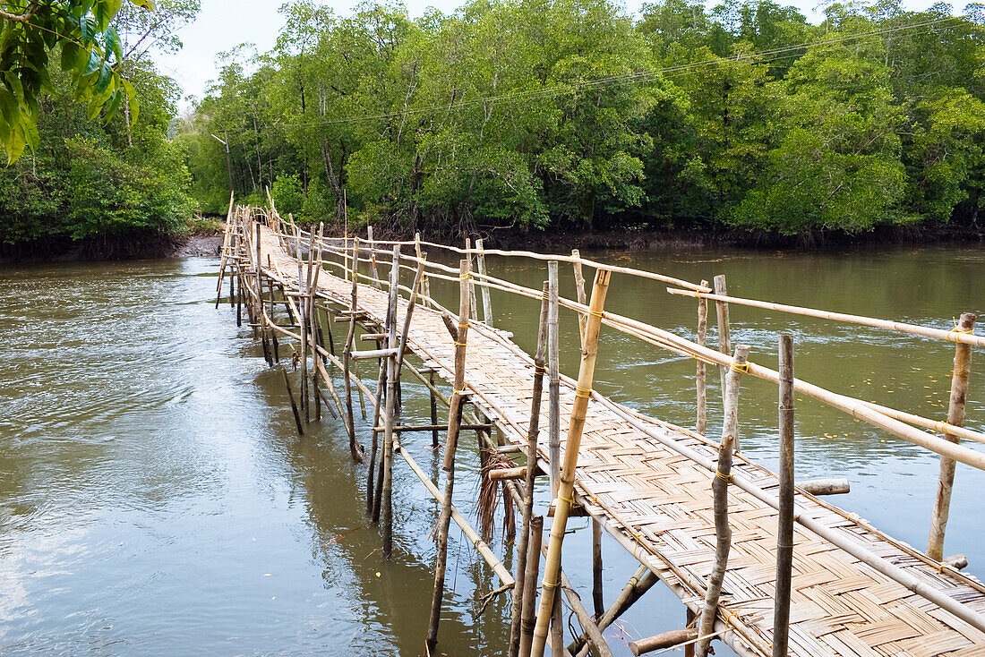 Bambusbrücke in dei Mangroven, Kalighat, Andamanen, Indien