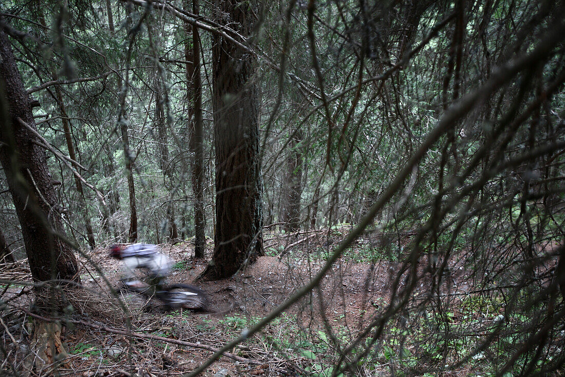 Mountainbiker riding through the forest, Ischgl, Tyrol, Austria