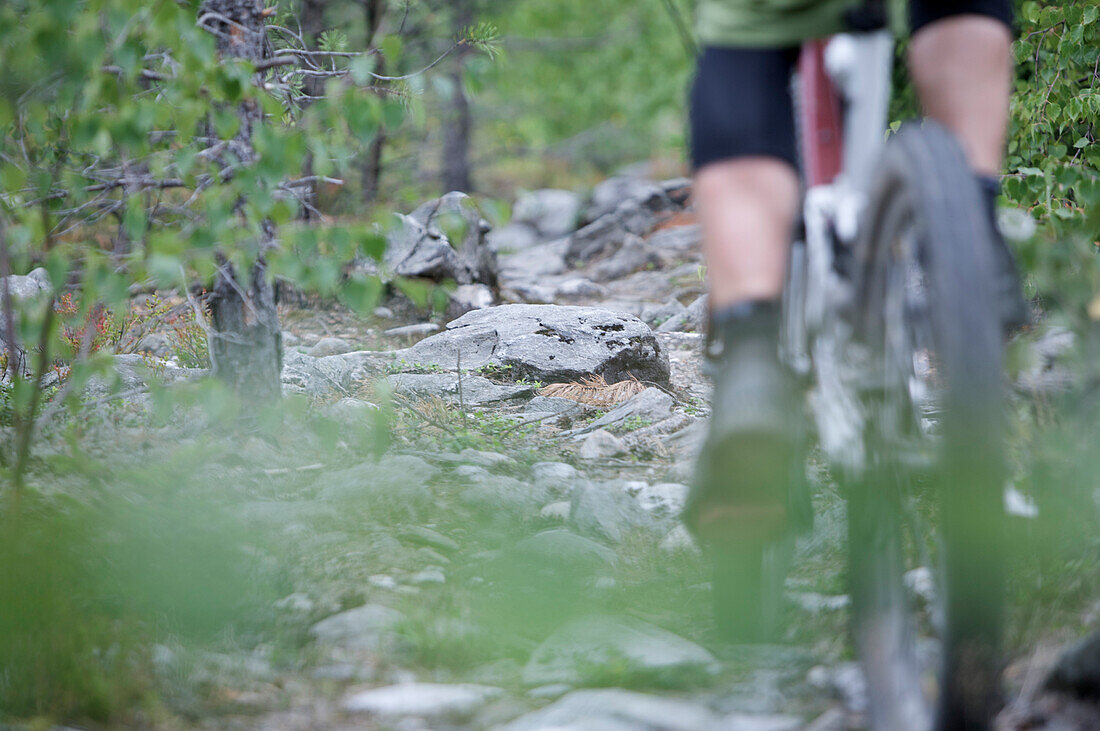 Mountainbiker fährt durch den Wald, Lillehammer, Norwegen