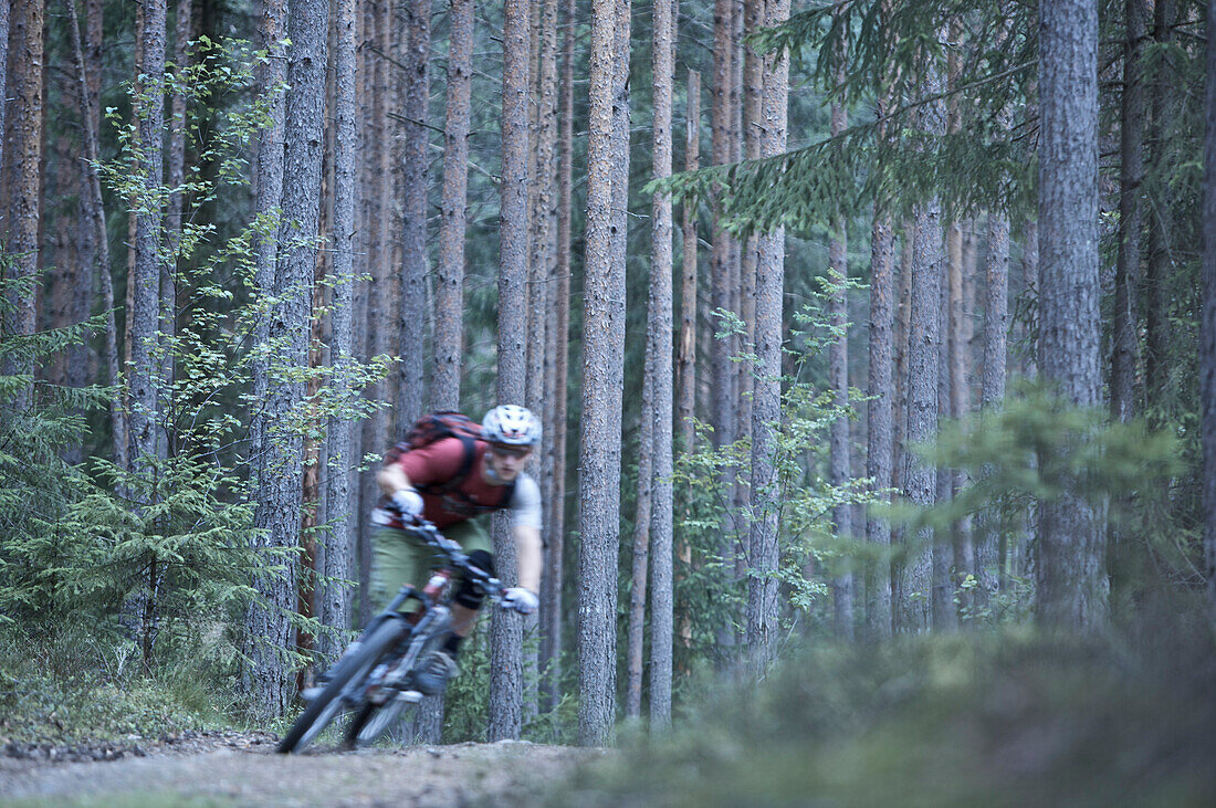 Mountainbiker fährt durch den Wald, Lillehammer, Norwegen