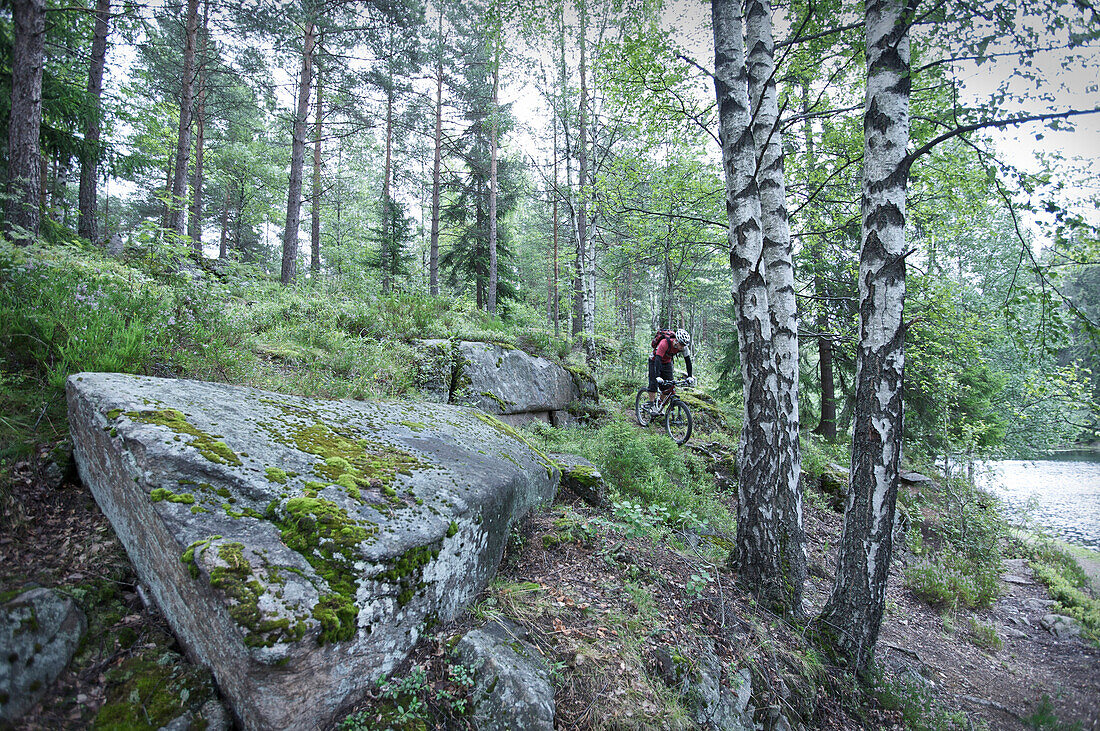 Mountainbiker fährt durch den Wald, Lillehammer, Norwegen